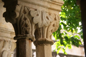SONY DSC